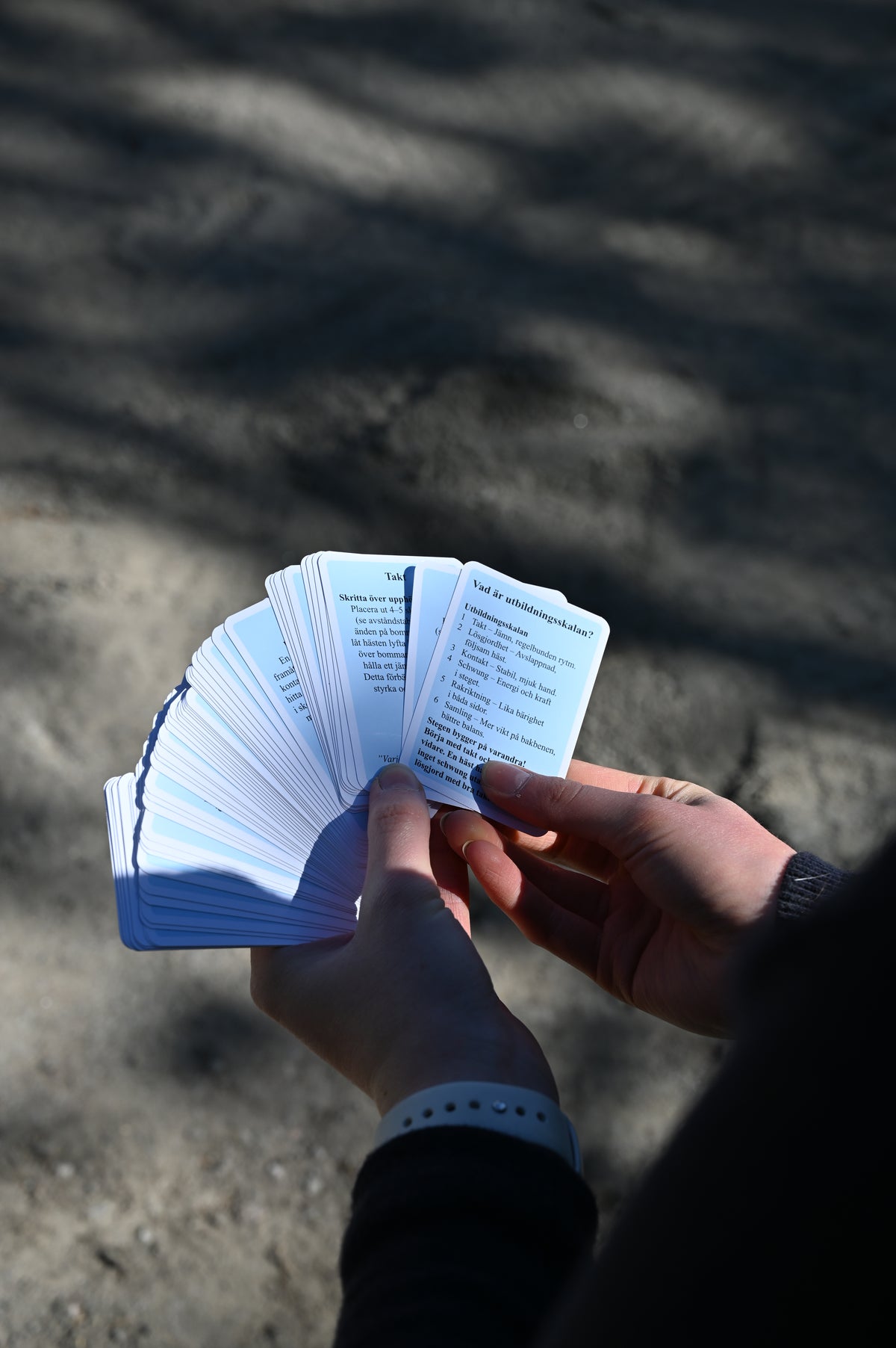Blå-equicard kortlek
