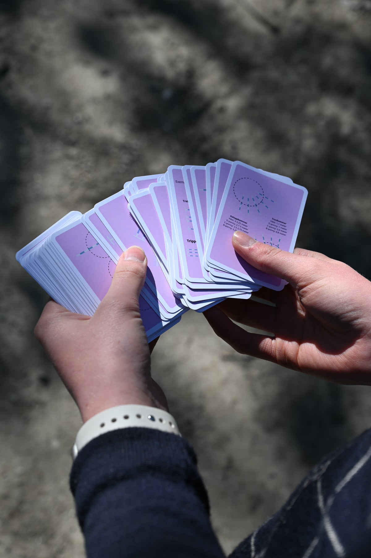 Equicard-rosa